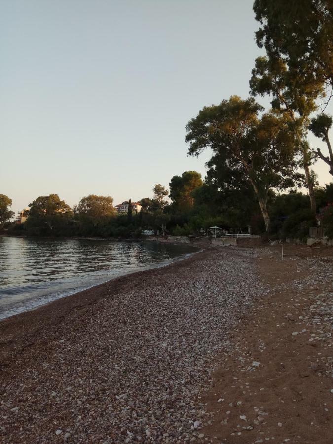 Apartamento Petalidi Fragkos Exterior foto